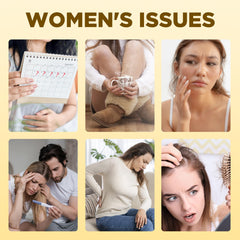 Ingredients graphic featuring ginger powder extract, red date extract, angelica extract, cinnamon extract