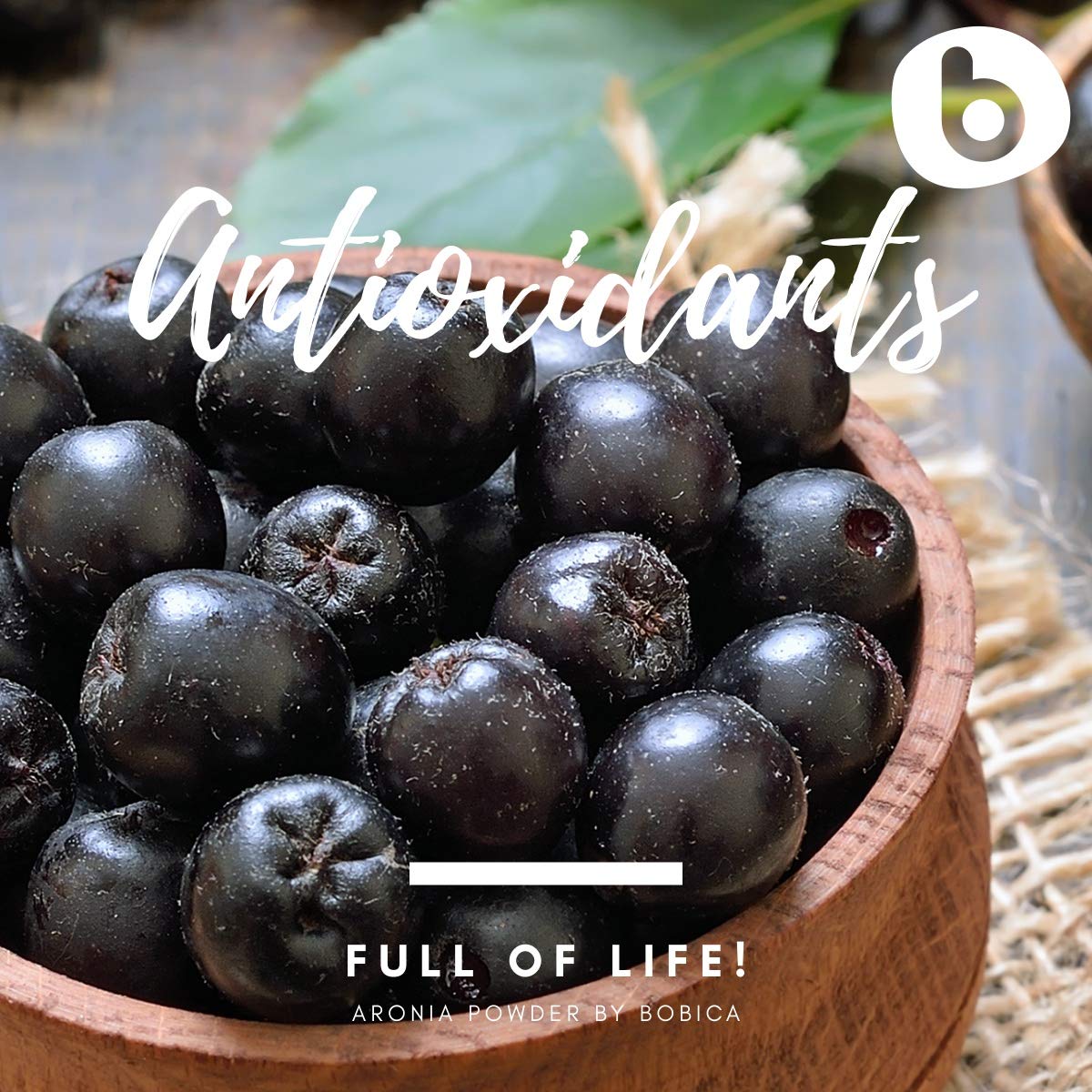 European-origin chokeberries for organic aronia powder