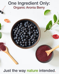 Aronia berry powder dispensed into a bowl