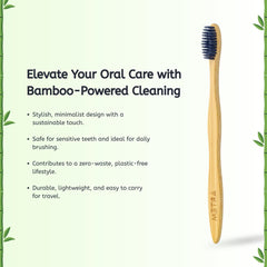 Eco-friendly bamboo toothbrush in packaging showing zero plastic