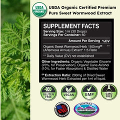 Illustration of Artemisia annua leaves