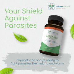 Artemisia Trinity capsules supporting digestion and immune health