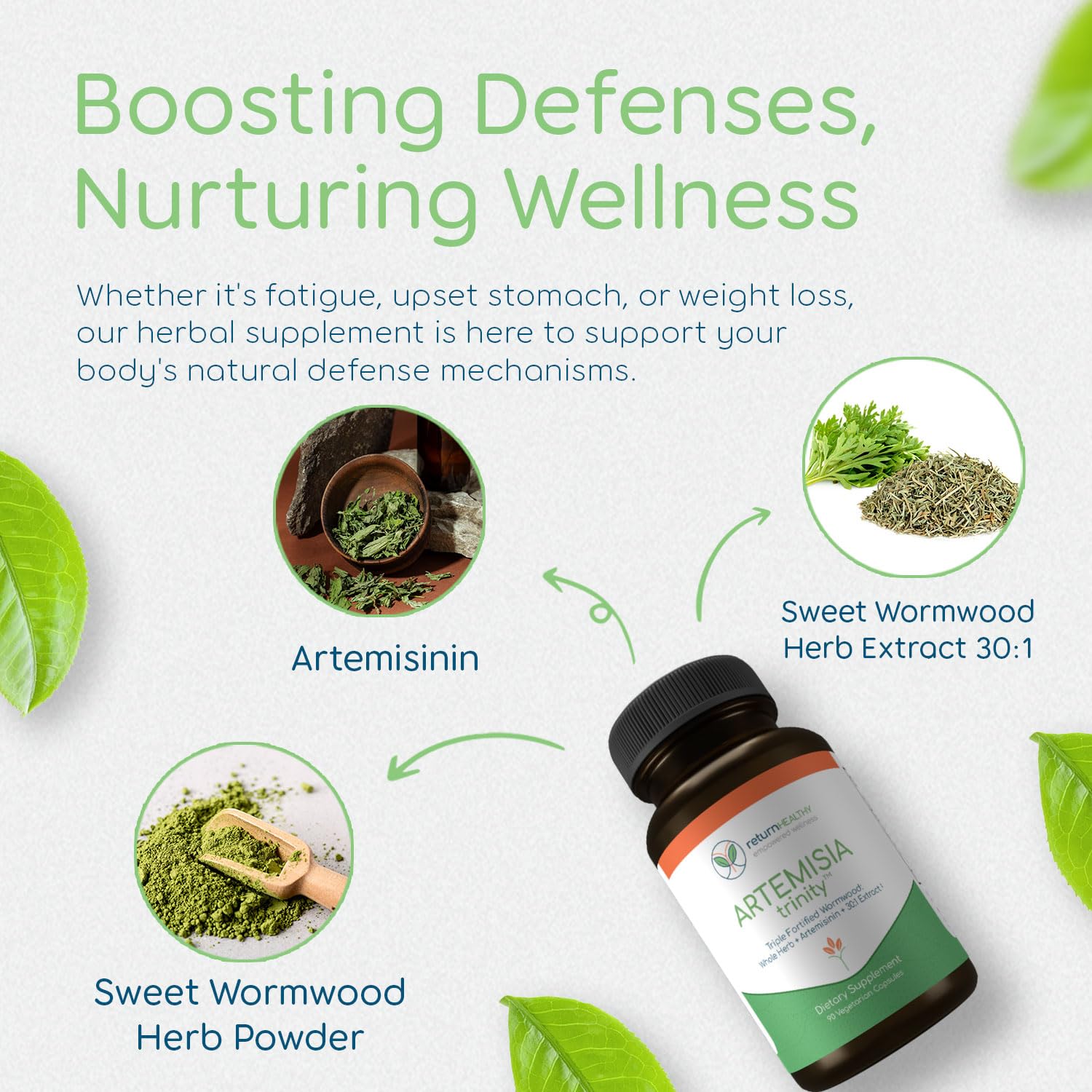 Close-up of Artemisia annua plant and Trinity ingredients