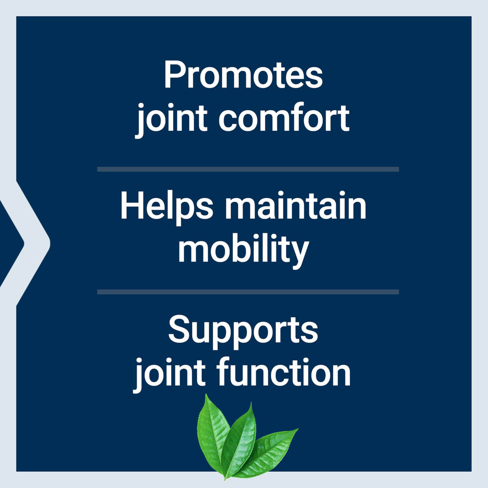 Andrographis paniculata plant used in Arthro-Immune Joint Support