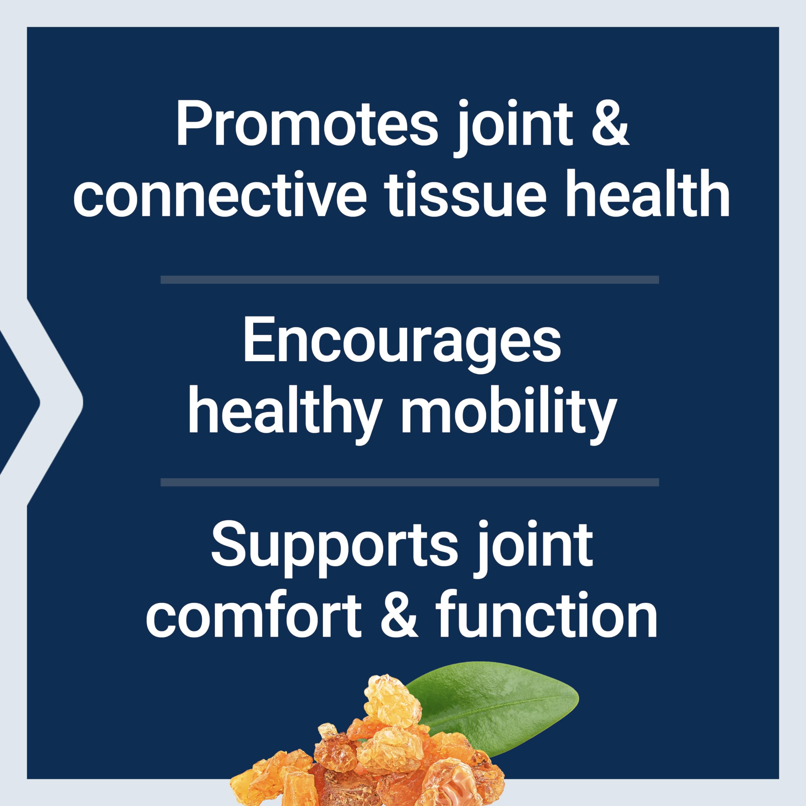 Boswellia serrata extract for joint health support