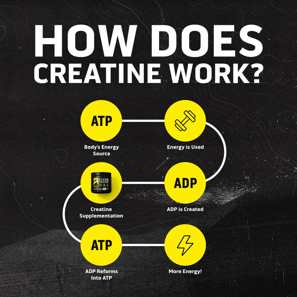 Serving scoop with 5g of creatine powder