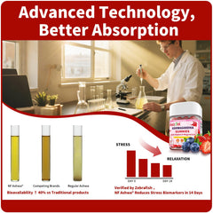 Gummies ingredients visualization for Ascool Ashwagandha Gummies
