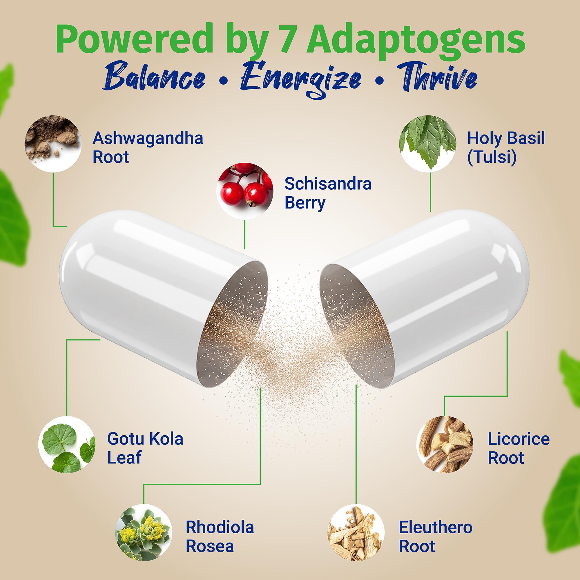 Herbal blend ingredients including Schisandra and Gotu Kola