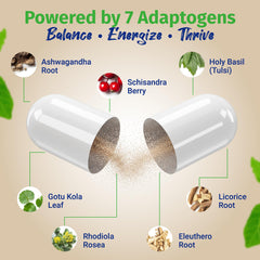 Herbal blend ingredients including Schisandra and Gotu Kola