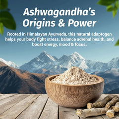 Close-up of Ashwagandha Complex Focus & Energy capsules