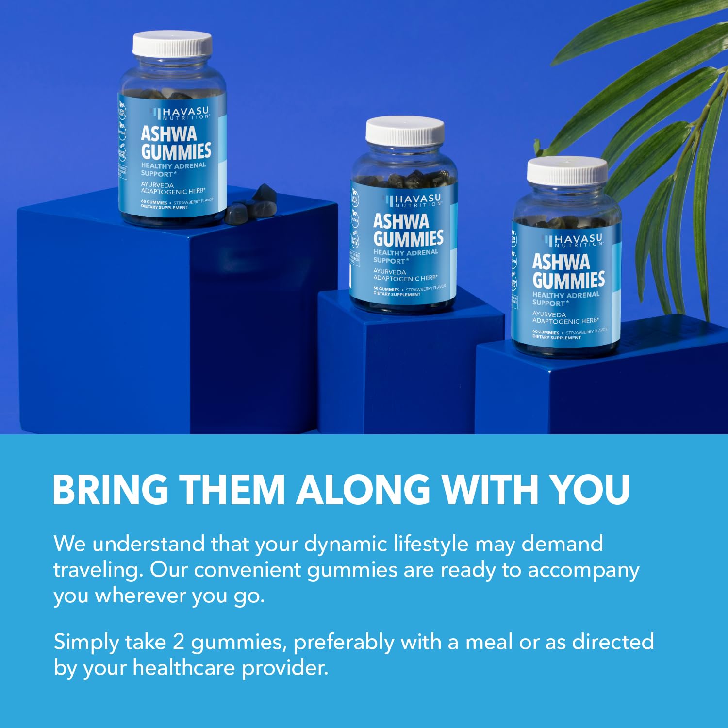 Gummies shown for daily use and routine
