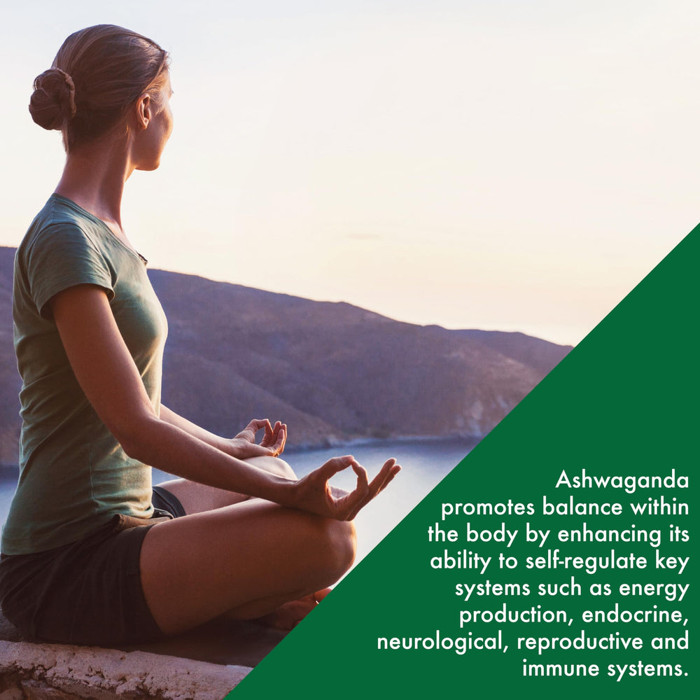 Organic root-only Withania somnifera source for Ashwagandha