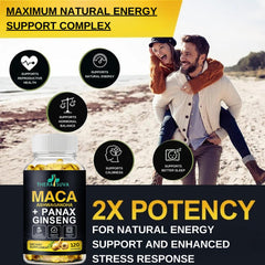 Herbal illustrations of Maca Root, Ashwagandha and Panax Ginseng