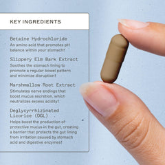 Ashwagandha and rhodiola adaptogenic blend ingredients