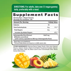 Ashwagandha Root 500 mg per serving graphic