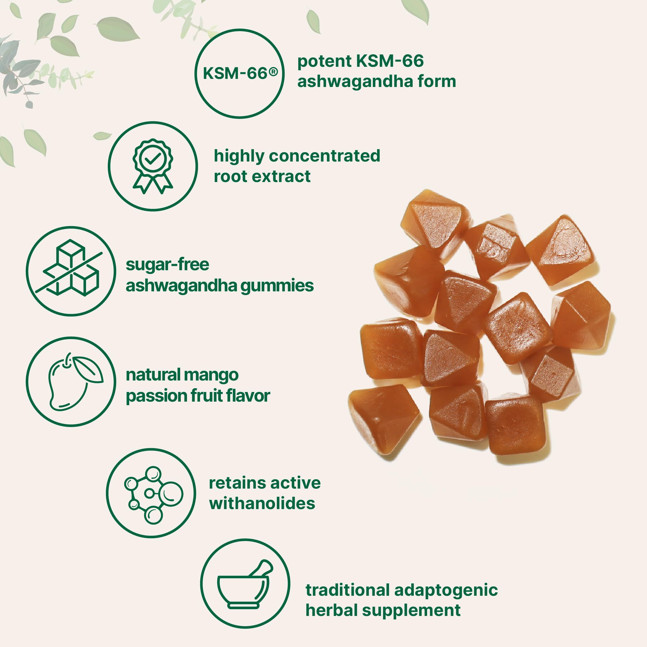 Ashwagandha root extract graphic