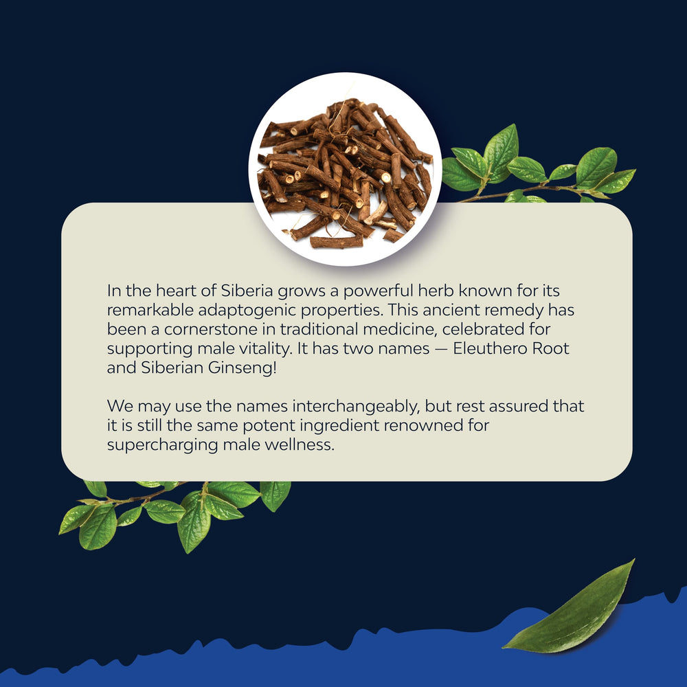 Ashwagandha and Siberian ginseng complex