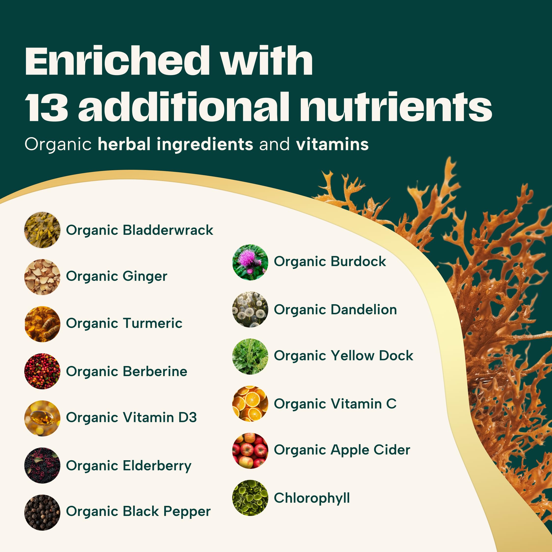 Ashwagandha and turmeric capsules with sea moss