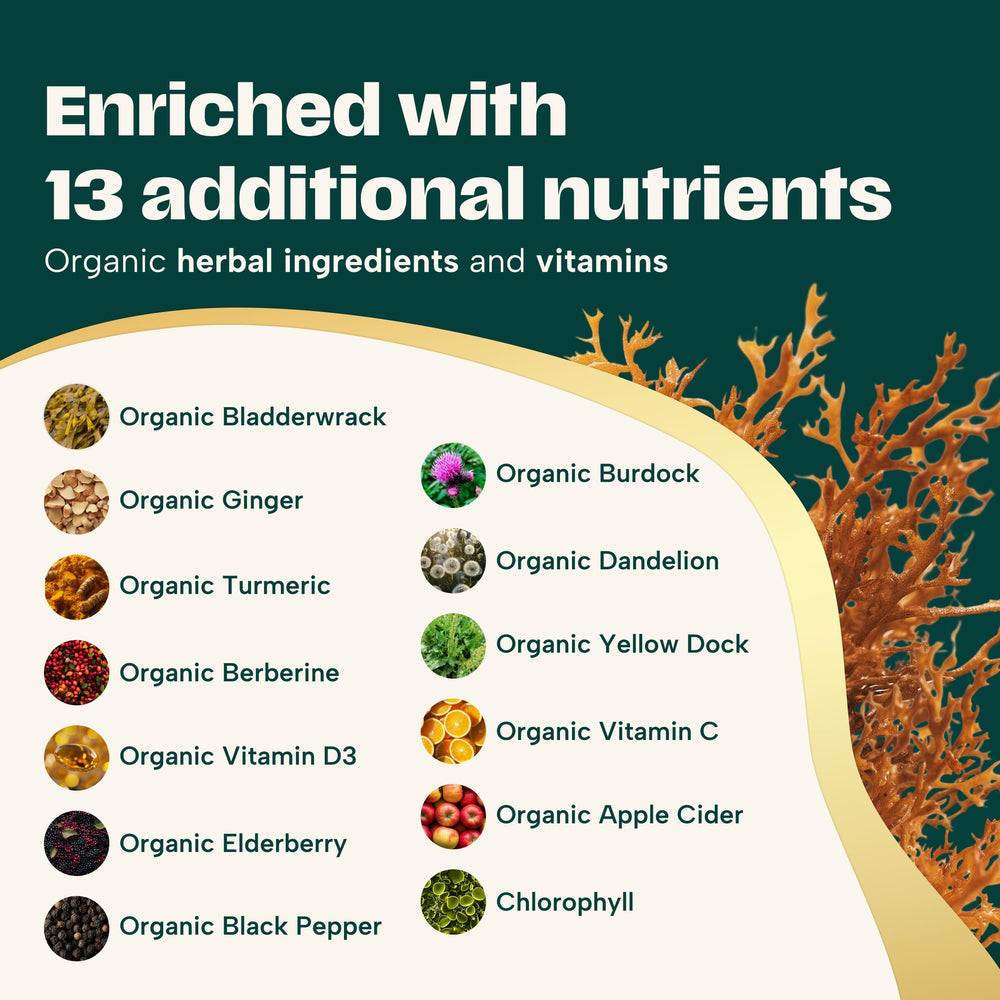 Ashwagandha and turmeric capsules with sea moss