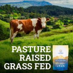 Pasture-raised grass-fed cattle image associated with Aspen Naturals collagen
