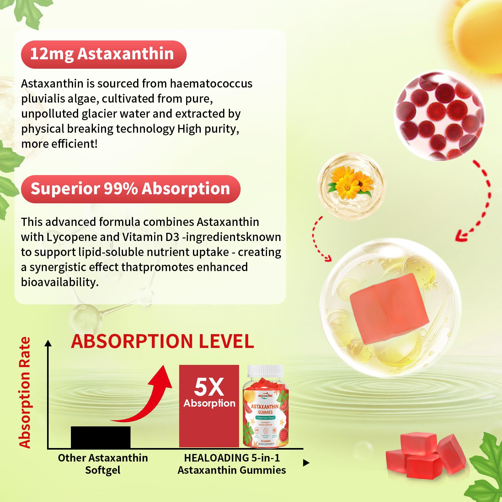Astaxanthin derived from Haematococcus pluvialis microalgae