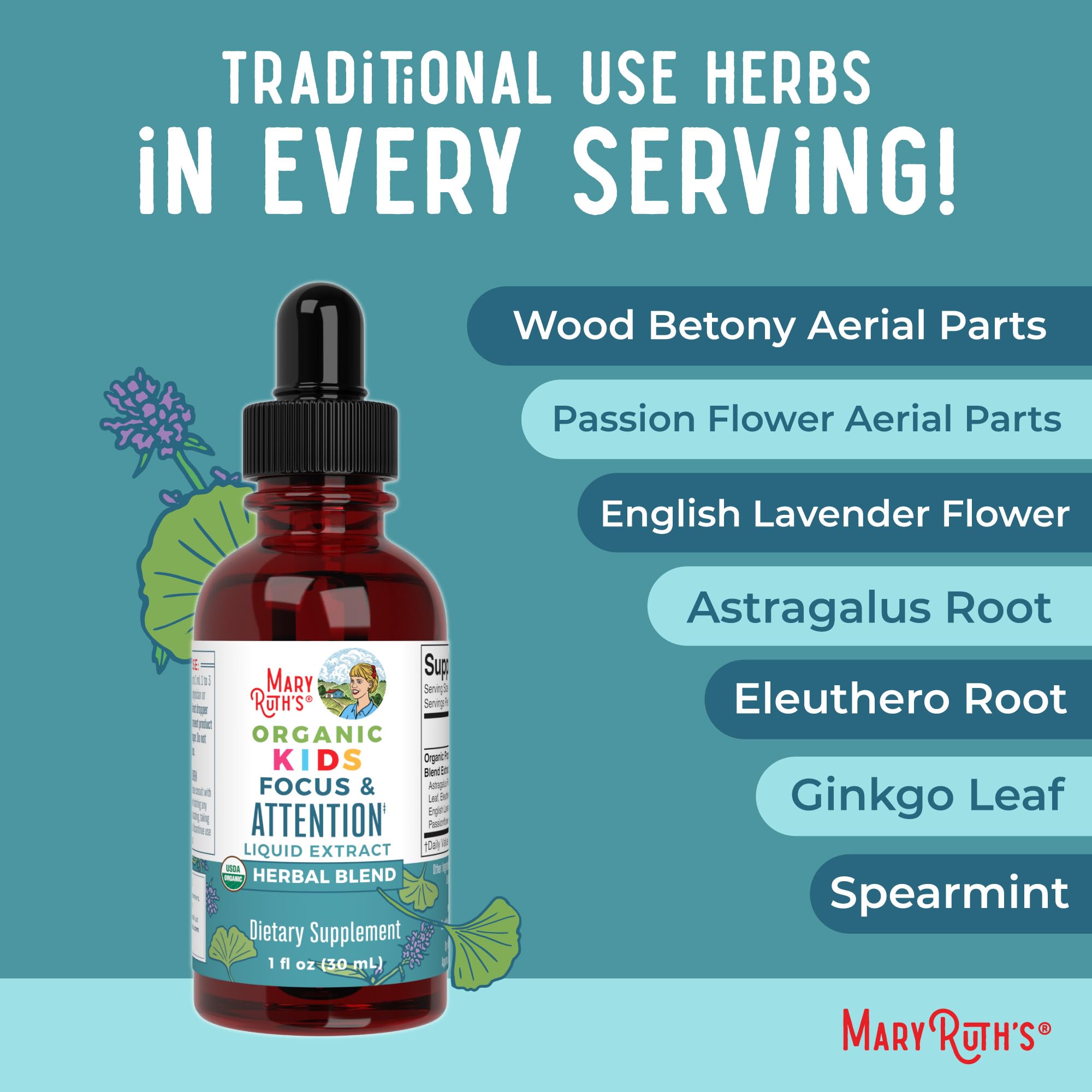 Astragalus Root ingredient used in the formula