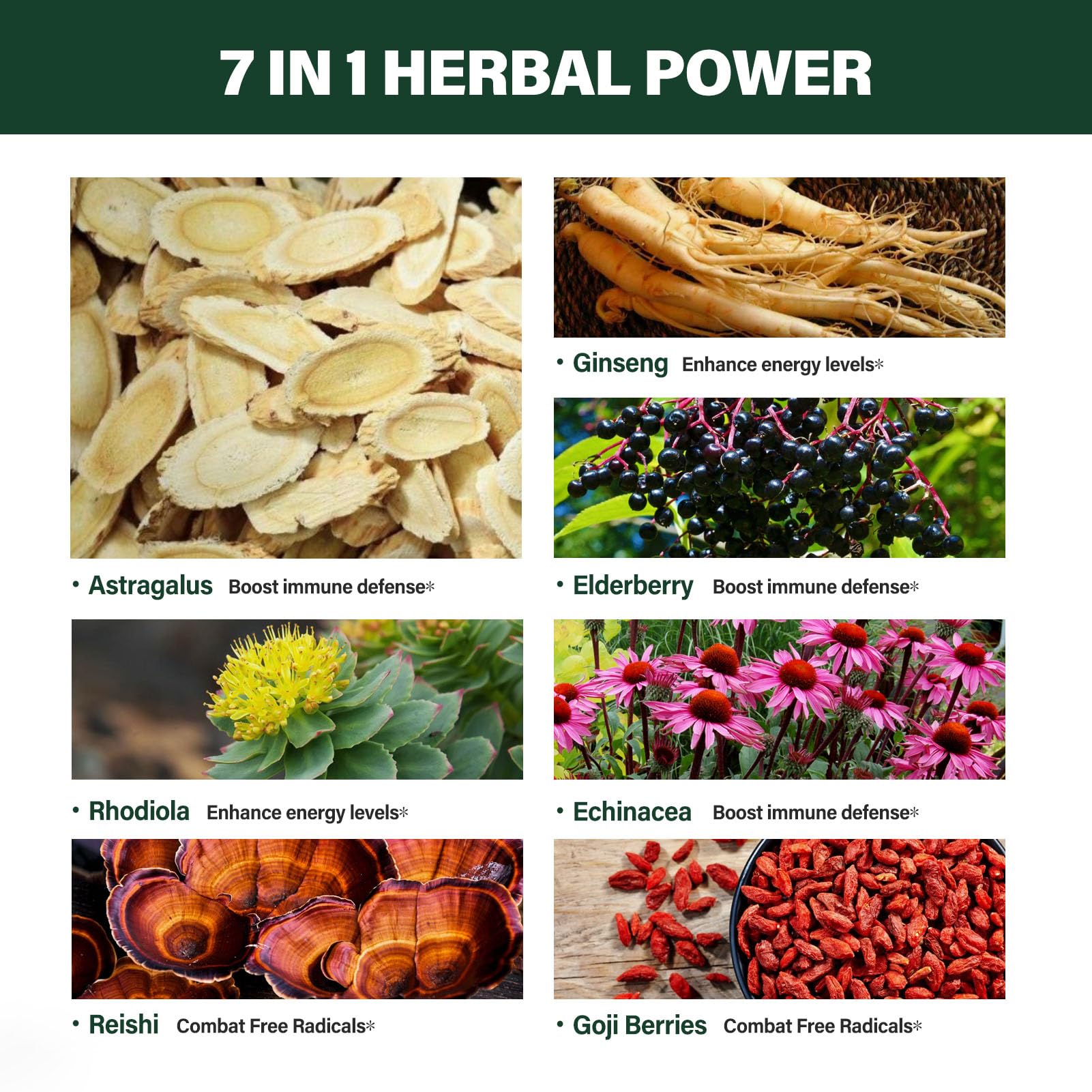 Astragalus root and herbal ingredients layout
