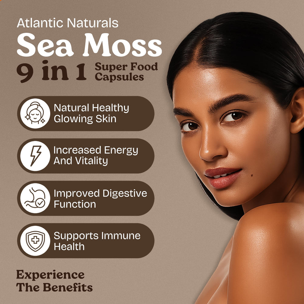 Illustration highlighting digestive support from sea moss capsules