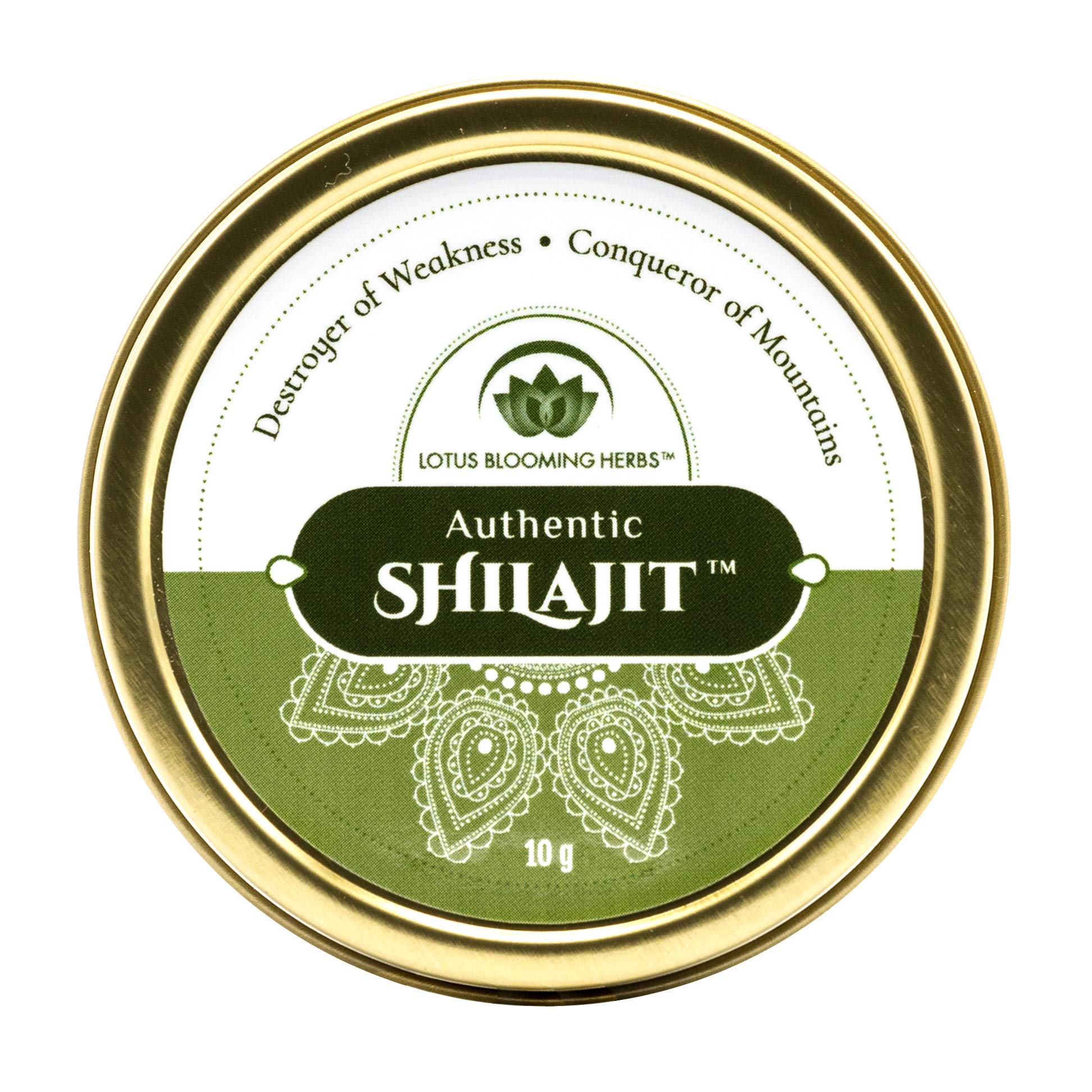 Authentic Shilajit resin gold-grade 10g front view