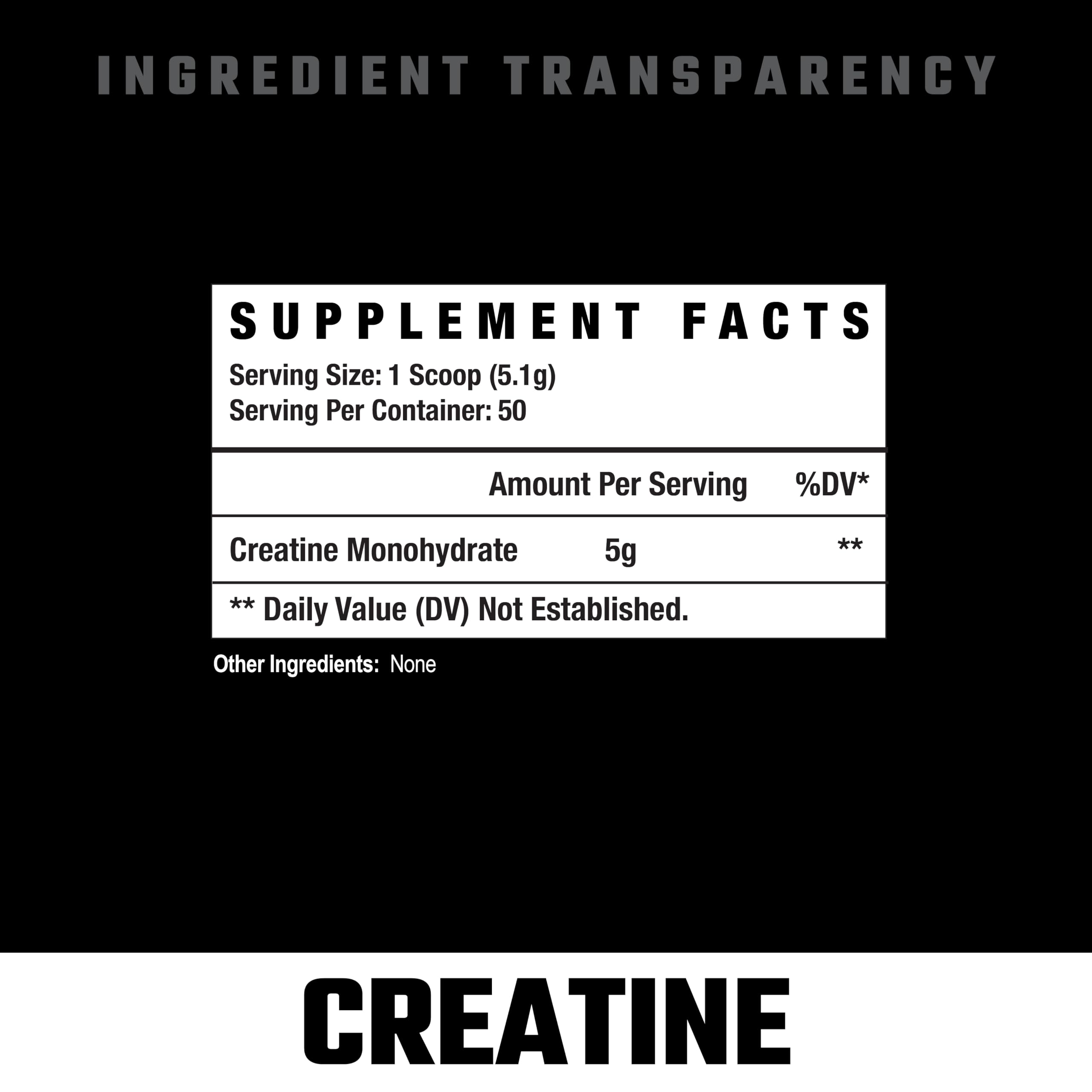 Close-up of scoop with ultra-fine creatine powder