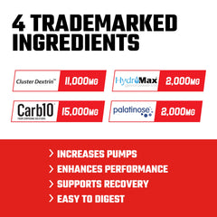 Close-up of Axe & Sledge Demo Day label highlighting Carb10 and Palatinose for steady energy.
