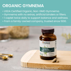 Ayurveda-inspired formulation using Gymnema sylvestre extract