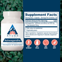 Ashwagandha capsules arranged for display