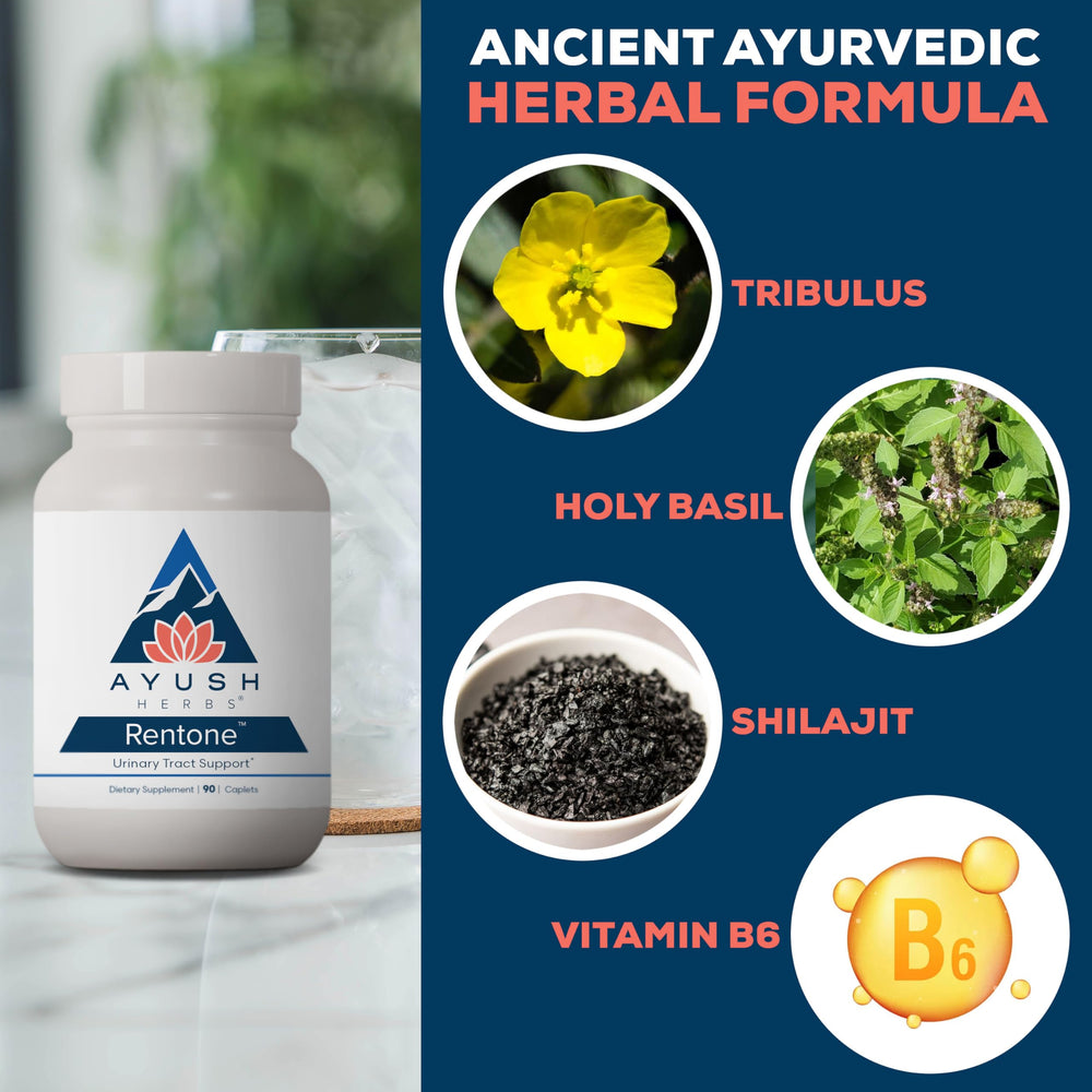 Rentone immune support herbal blend image