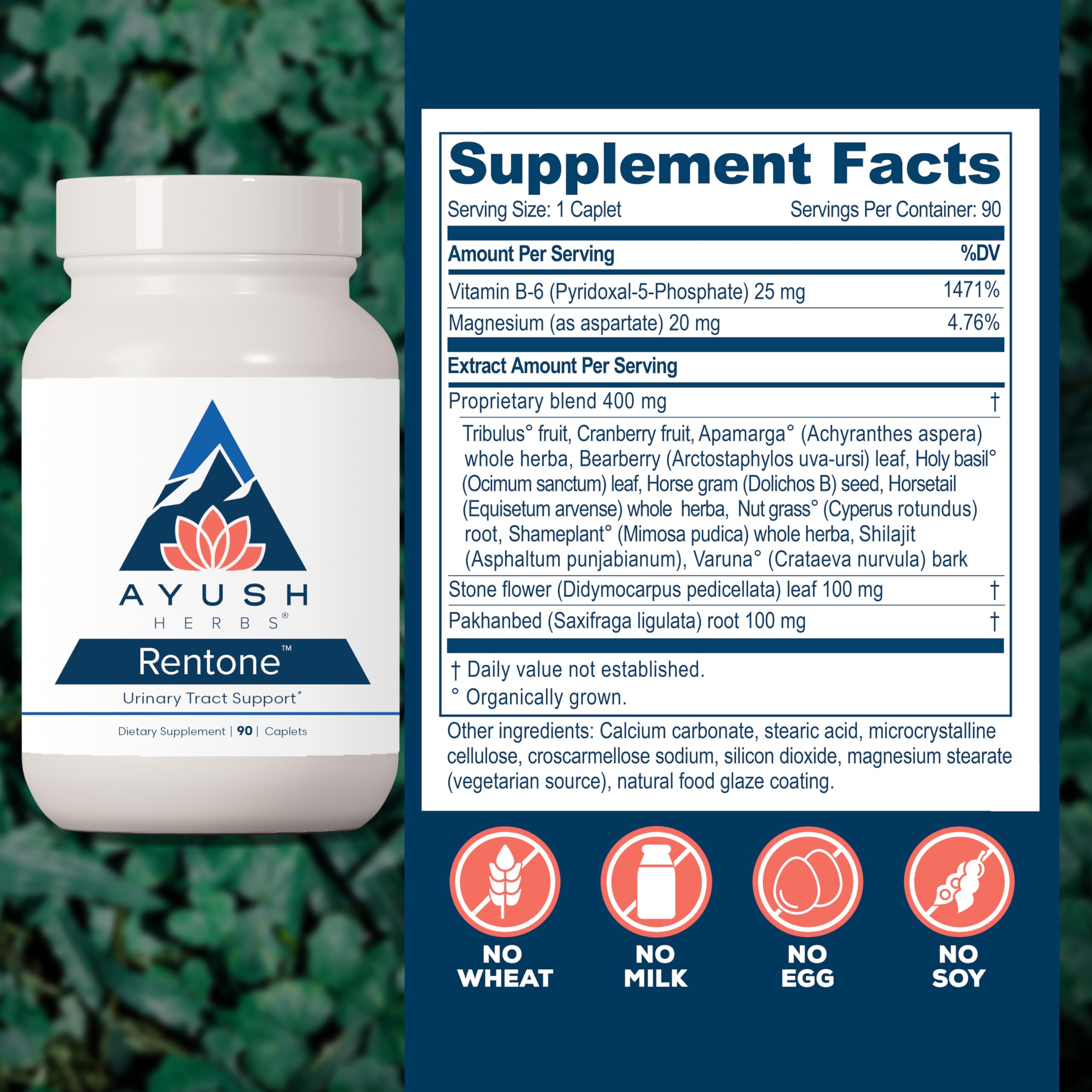 Uva Ursi and Horsetail kidney support image