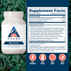 Uva Ursi and Horsetail kidney support image