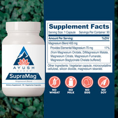 Graphic showing magnesium blend ingredients: citrate, bisglycinate, orotate, malate, fumarate