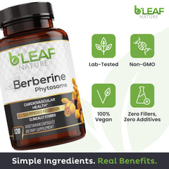 Infographic showing 10x absorption of Berberine Phytosome