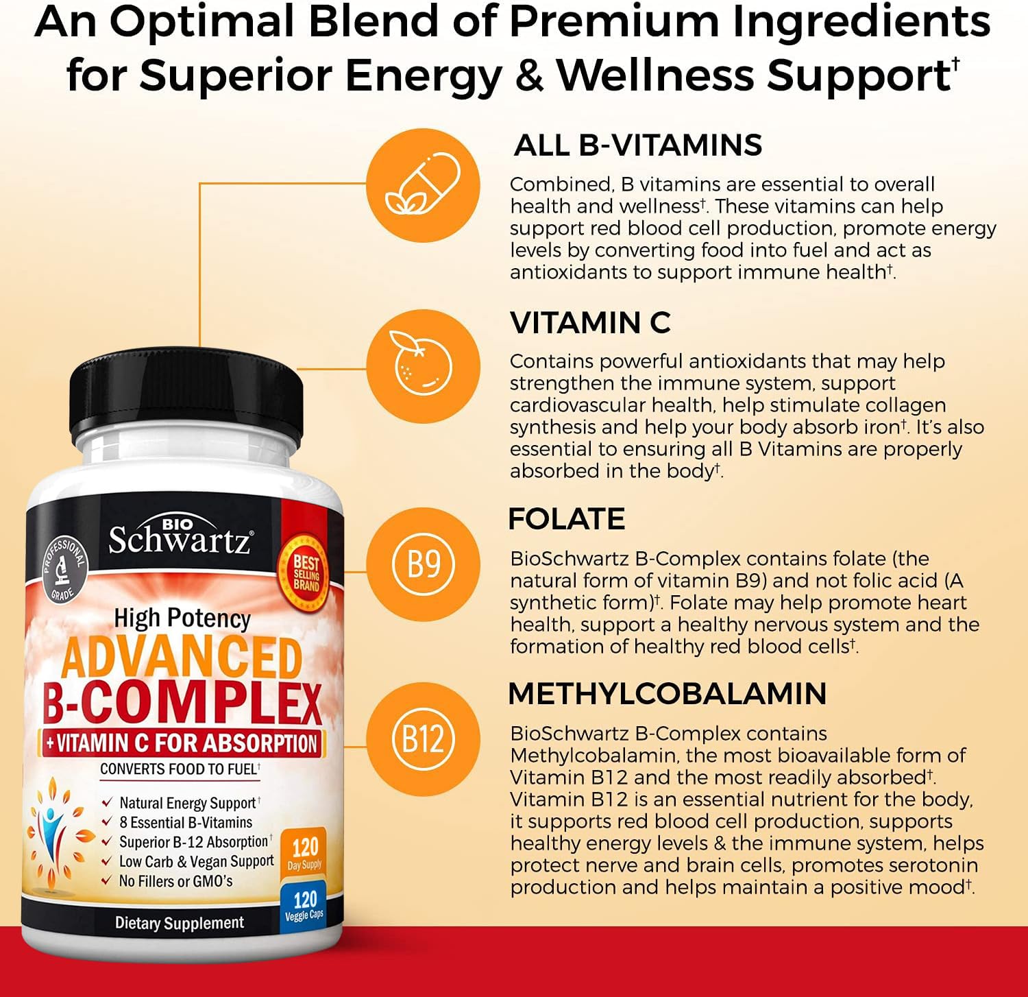 Graphic of B vitamins B1 to B12 in supplement