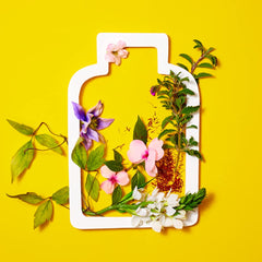 Close-up of nighttime sleep and stress support gummies