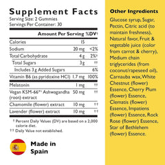 Close-up of ingredient highlights: melatonin, ashwagandha, chamomile, lavender, vitamin B6