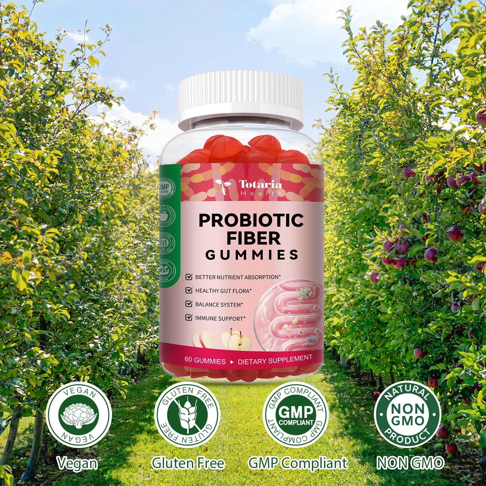 Bacillus coagulans probiotic with 5B CFU