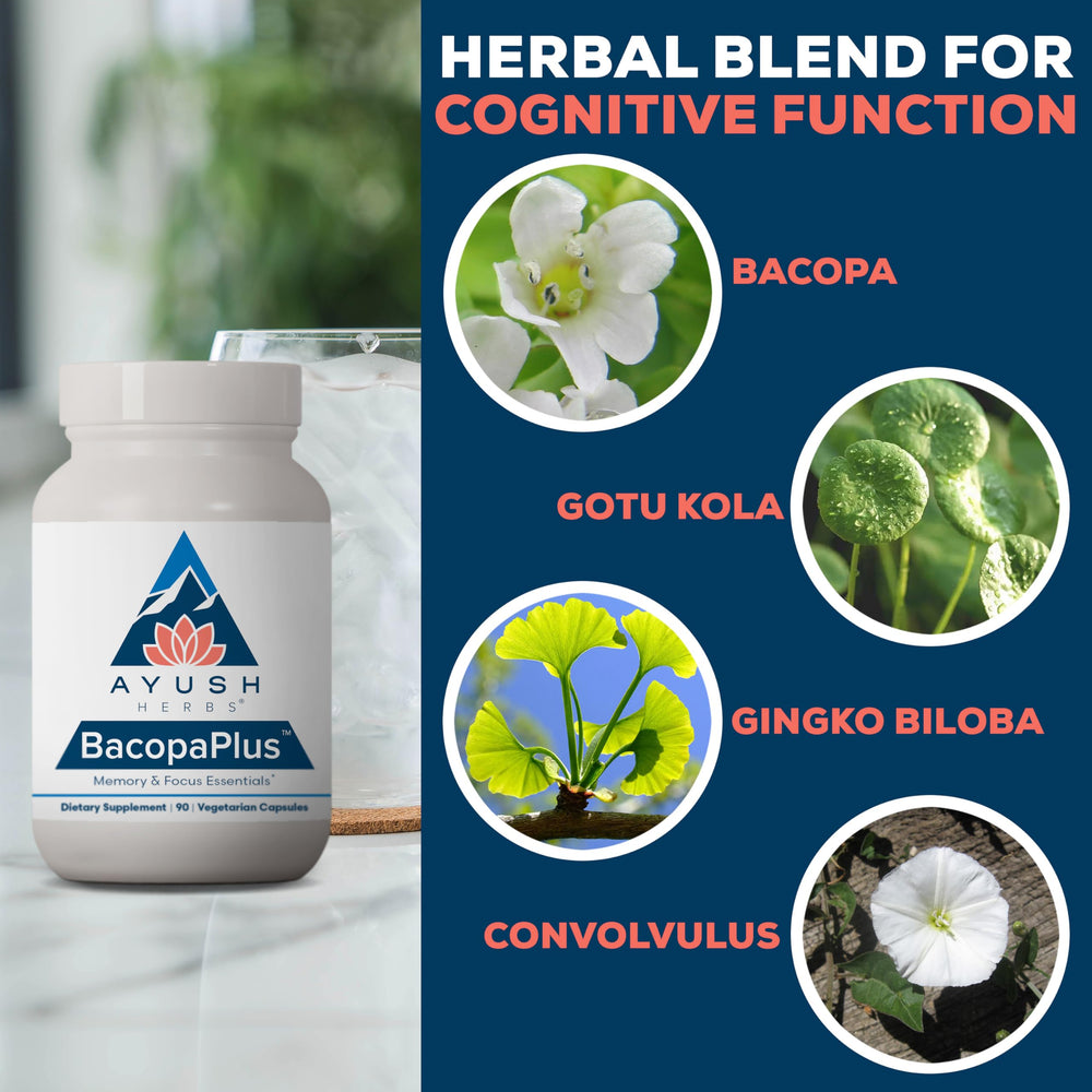 Gotu kola image representing BacopaPlus herbal blend