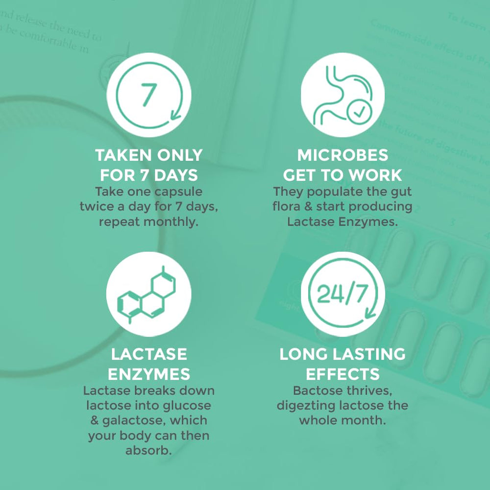 Gut producing lactase enzymes to digest lactose