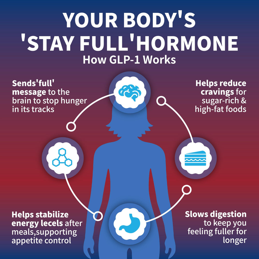 Illustration of natural GLP-1 ingredients: hops, green tea extract, cinnamon extract