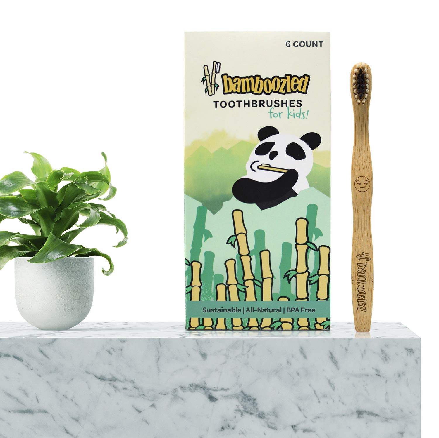 Whole 6-pack packaging and branding for kids toothbrushes