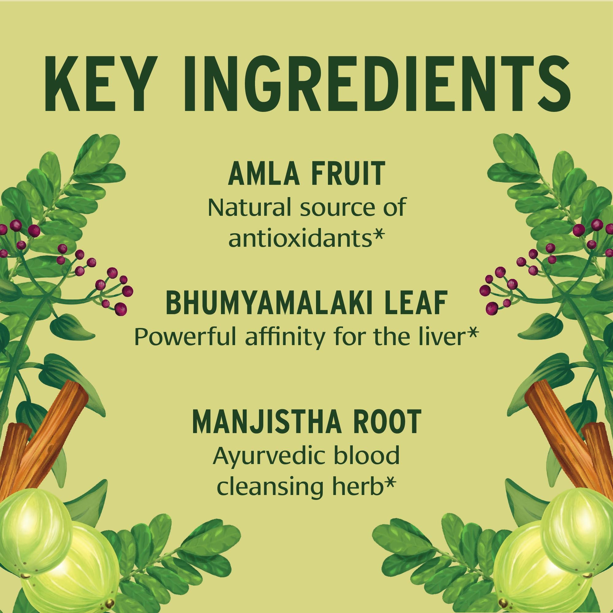 Banyan Botanicals Total Body Cleanse label highlights organic herbs and quality testing.
