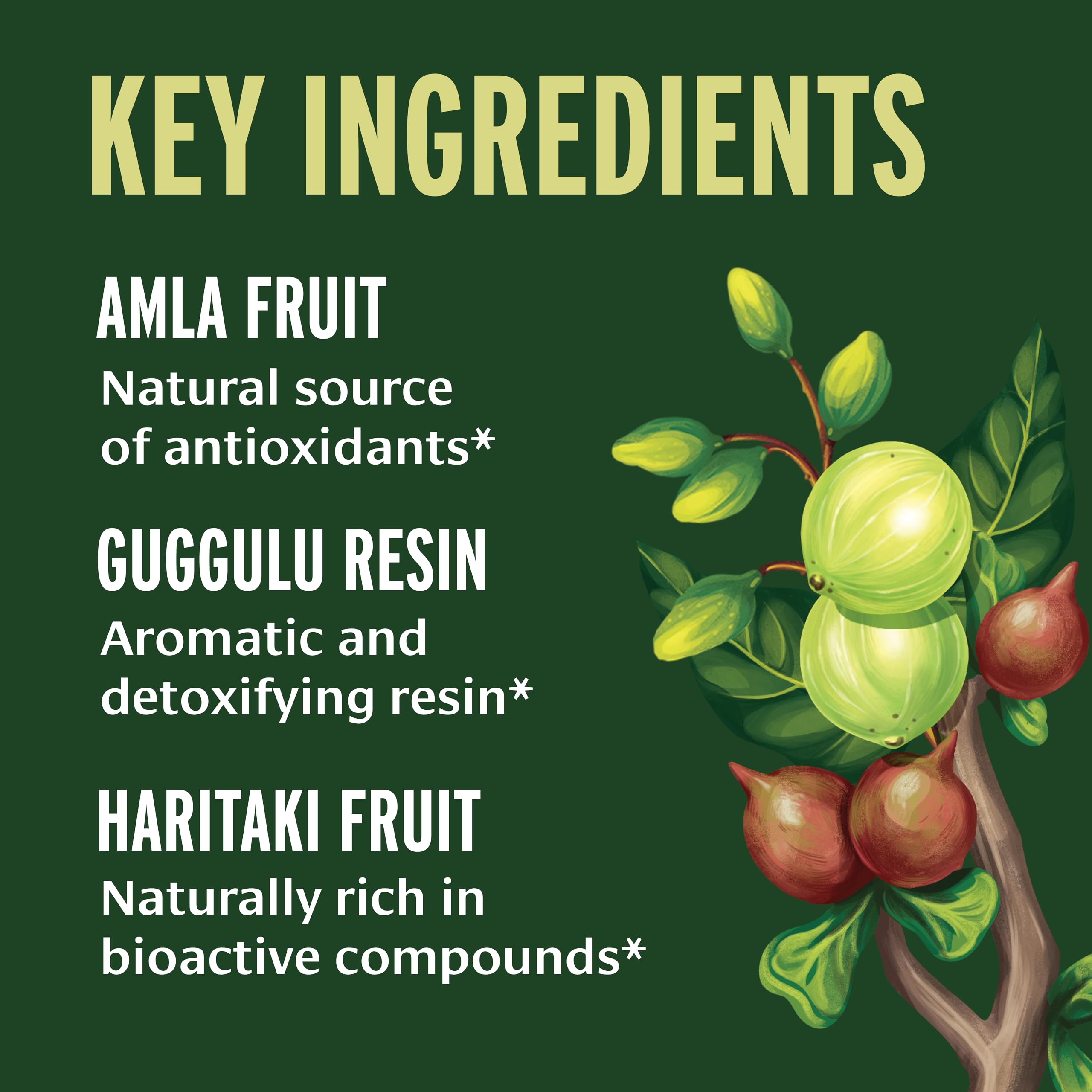 Product label showing Organic and Non-GMO certification on Triphala Guggulu