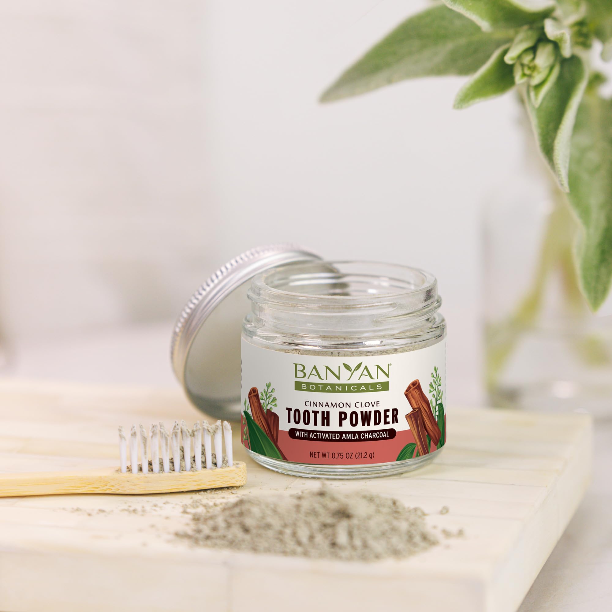 Mint flavor toothpaste powder packaging with mint imagery