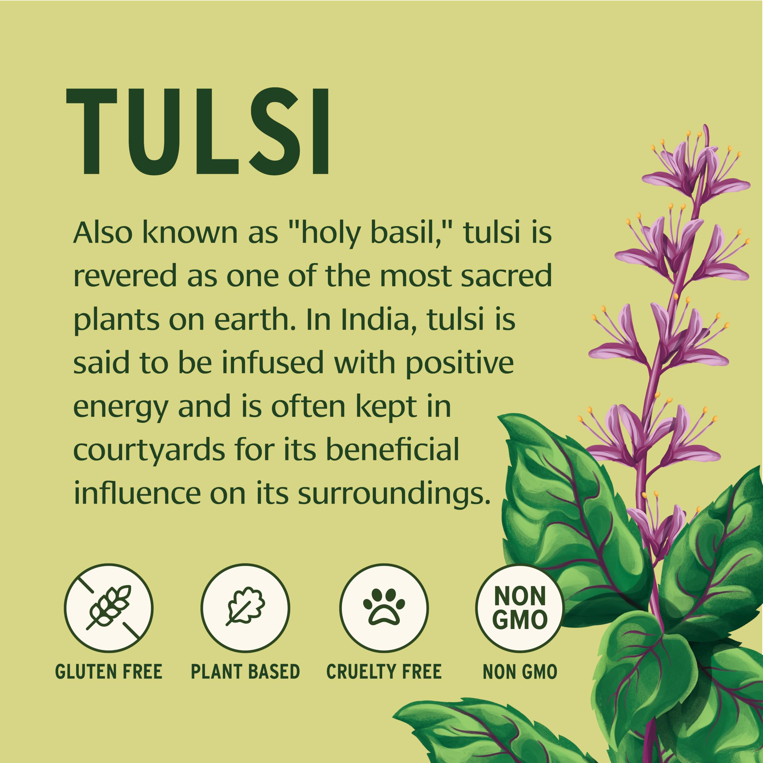 Sustainability and organic certification banner for Banyan Botanicals Tulsi